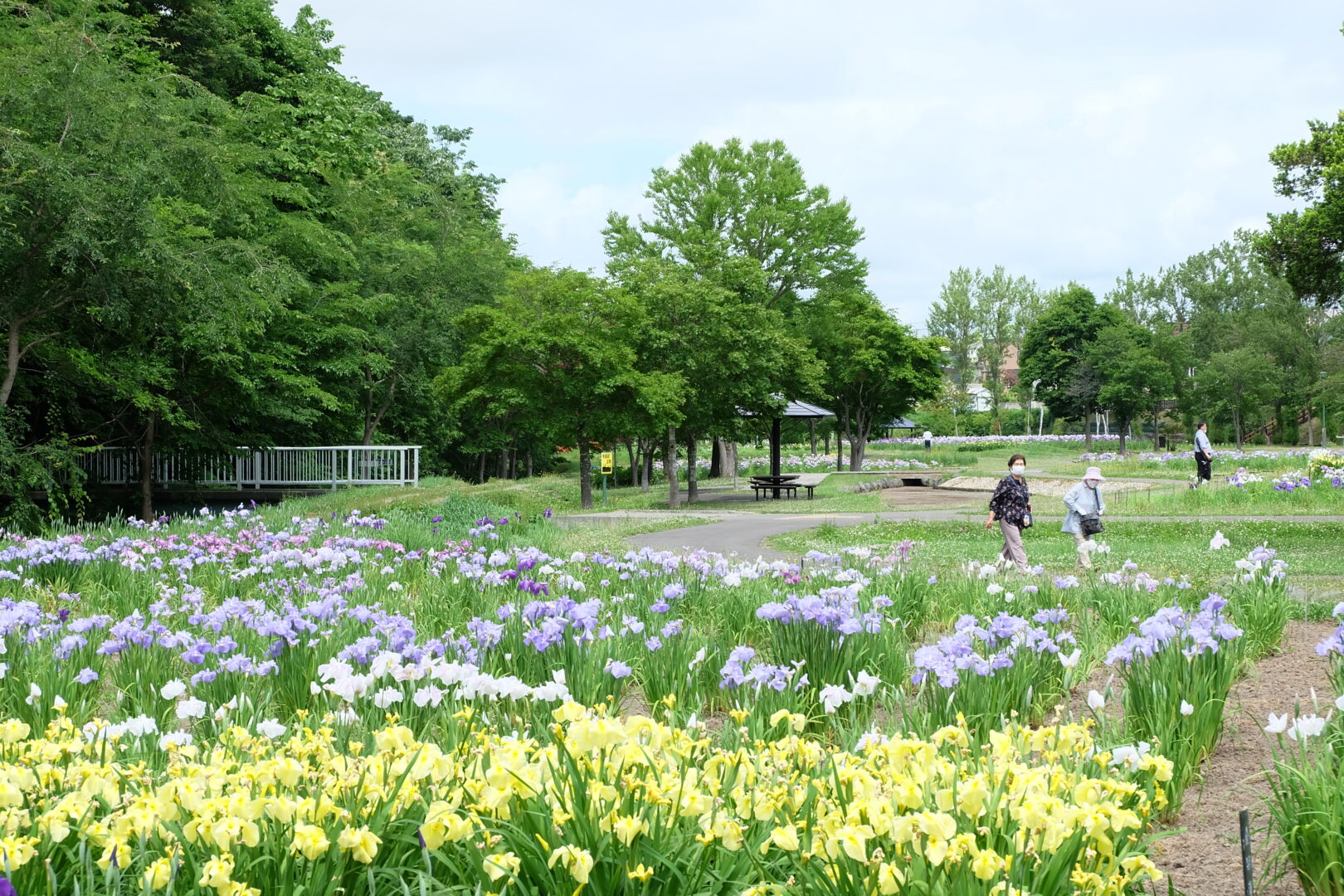 093dccda33f48a55a5ca9eb3002ba0