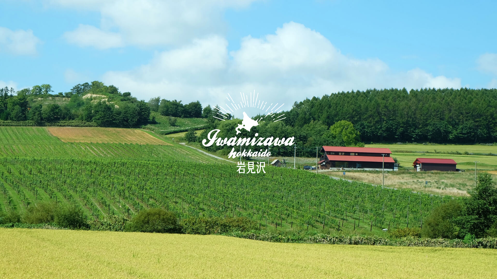 首頁